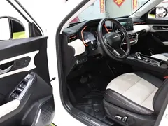 2021 Haval Chitu 1.5T Jiqing Platinum Rabbit, белый — фото 9
