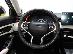 2021 Haval Chitu 1.5T Jiqing Platinum Rabbit, белый — фото 13
