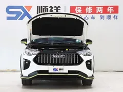 2021 Haval Chitu 1.5T Jiqing Platinum Rabbit, белый — фото 18