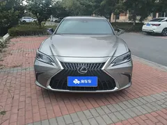 2021 Lexus ES 300h Premium — фото 2