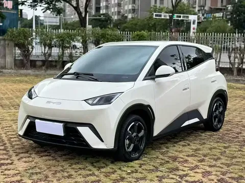 2023 BYD Seagull Flying