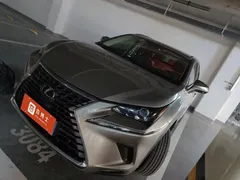 2020 Lexus NX 200 4WD Fashion China VI — фото 1