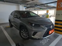 2020 Lexus NX 200 4WD Fashion China VI — фото 2
