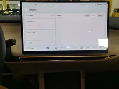 2025 Hongqi Tiangong 05 550 Smart Choice — фото 13