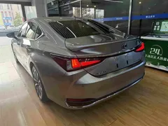 2022 Lexus ES 300h Excellence — фото 10