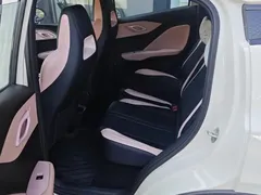 2025 BYD Seagull EV 305km, белый — фото 12