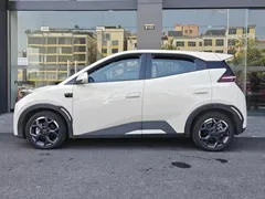 2025 BYD Seagull EV 305km, белый — фото 16