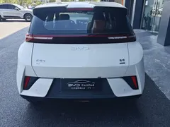 2025 BYD Seagull EV 305km, белый — фото 19