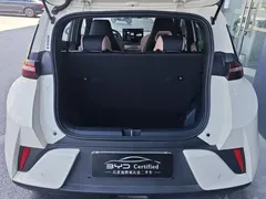 2025 BYD Seagull EV 305km, белый — фото 20