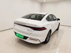 2023 BYD Qin PLUS Champion DM-i PHEV 55KM Leading, белый — фото 6