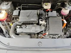 2023 BYD Song Pro DM-i PHEV 110KM Champion — фото 16