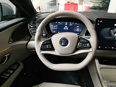 2025 BYD Han PHEV 245KM Premium — фото 11