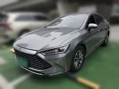 2024 BYD Qin PLUS Honor DM-i PHEV 55km Leading — фото 1