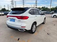 2021 Haval M6 Plus 1.5T DCT Luxury, белый — фото 9
