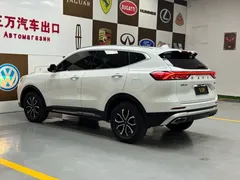 2021 Haval H6 1.5T AT Guochao Urban, белый — фото 4