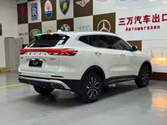 2021 Haval H6 1.5T AT Guochao Urban, белый — фото 6