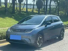 2025 BYD Dolphin EV 420km Active — фото 1
