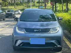 2025 BYD Dolphin EV 420km Active — фото 2