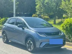 2025 BYD Dolphin EV 420km Active — фото 3