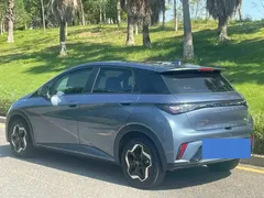 2025 BYD Dolphin EV 420km Active — фото 7
