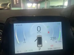 2025 BYD Dolphin EV 420km Active — фото 10