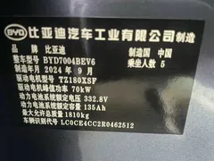 2025 BYD Dolphin EV 420km Active — фото 11