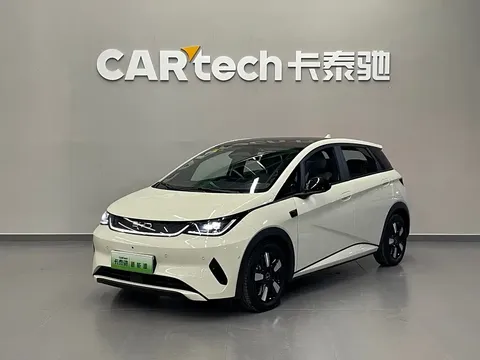 2025 BYD Dolphin Smart Driving 410km Fashion