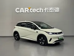 2025 BYD Dolphin Smart Driving 410km Fashion — фото 3