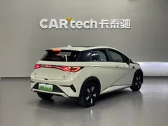 2025 BYD Dolphin Smart Driving 410km Fashion — фото 4