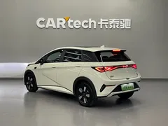 2025 BYD Dolphin Smart Driving 410km Fashion — фото 6
