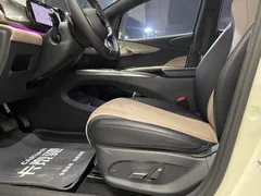 2025 BYD Dolphin Smart Driving 410km Fashion — фото 14