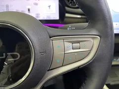 2025 BYD Dolphin Smart Driving 410km Fashion — фото 16