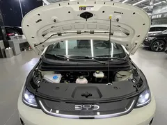 2025 BYD Dolphin Smart Driving 410km Fashion — фото 27