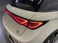 2025 BYD Dolphin Smart Driving 410km Fashion — фото 32