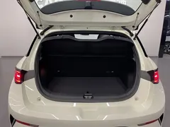 2025 BYD Dolphin Smart Driving 410km Fashion — фото 33