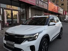 2023 Kia Seltos 1.5L CVT Luxury, белый — фото 1
