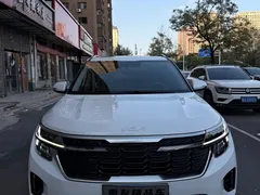 2023 Kia Seltos 1.5L CVT Luxury, белый — фото 2