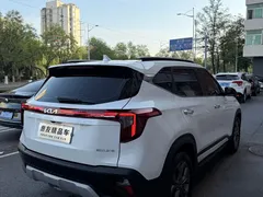 2023 Kia Seltos 1.5L CVT Luxury, белый — фото 4