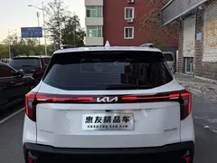 2023 Kia Seltos 1.5L CVT Luxury, белый — фото 5