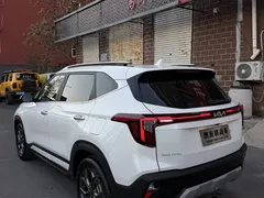 2023 Kia Seltos 1.5L CVT Luxury, белый — фото 6