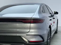 2024 BYD Han PHEV Honor 121km Premium — фото 15