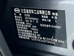 2024 BYD Han PHEV Honor 121km Premium — фото 16