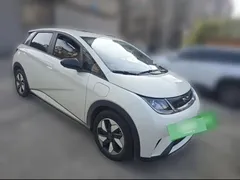 2025 BYD Dolphin 420km Freedom, белый — фото 22