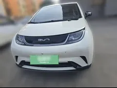 2025 BYD Dolphin 420km Freedom, белый — фото 23