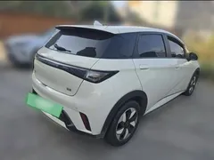 2025 BYD Dolphin 420km Freedom, белый — фото 25