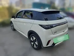 2025 BYD Dolphin 420km Freedom, белый — фото 26