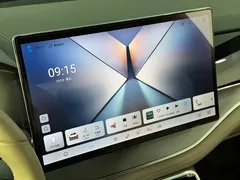 2025 BYD Tang DM-i PHEV 115km Premium — фото 20