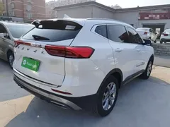 2021 Haval H6 1.5T AT Champion, белый — фото 7
