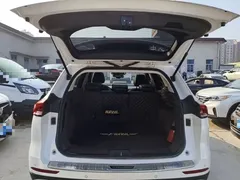 2021 Haval H6 1.5T AT Champion, белый — фото 19