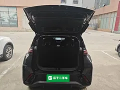 2025 BYD Seagull 305km Vitality, чёрный — фото 19